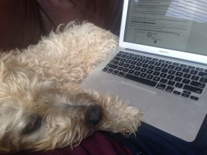 Farley writing.