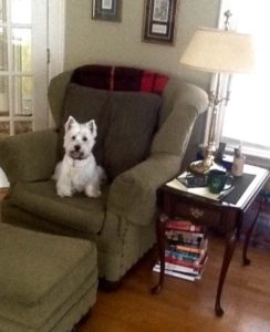Archie, Marian's Westie