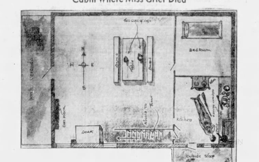 News, Views & Clues: February 2026